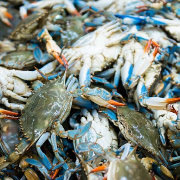 Crab