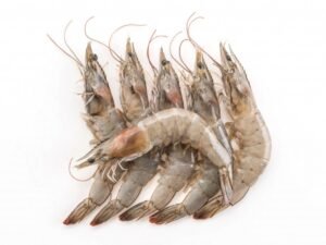 Jera Shrimp