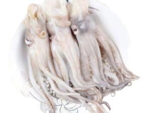 Octopus