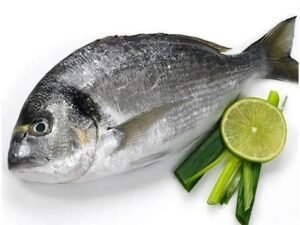 Sea Bream Fish