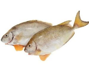 Safi Fish