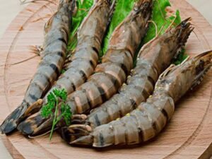 Tiger Shrimp