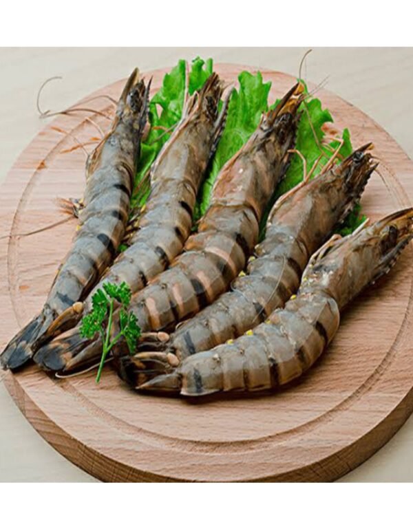 Tiger Shrimp