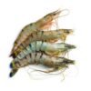Tiger Shrimp