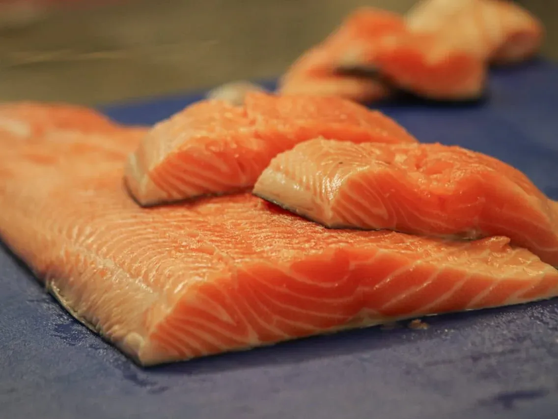 Hamour Fish