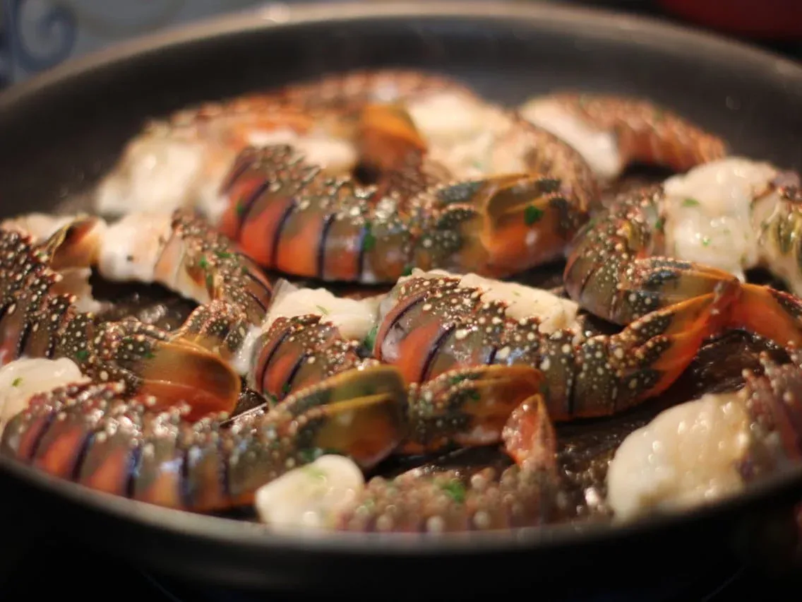 lobster seafood